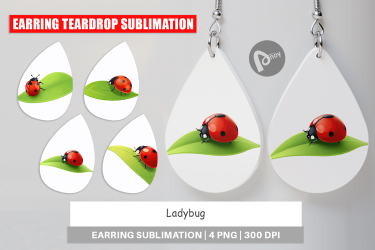 Ladybug Clipart Image 22