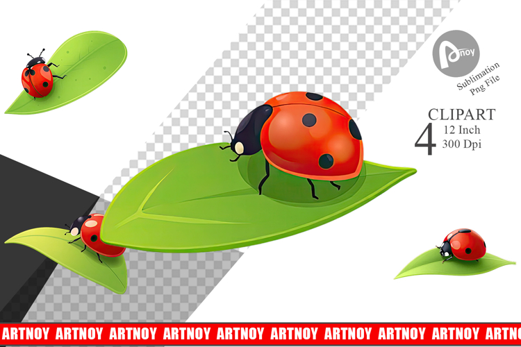 Ladybug Png Image 2