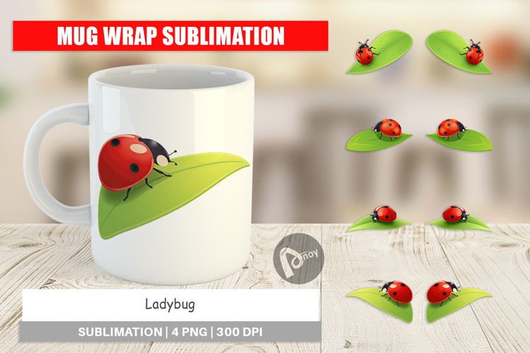 Ladybug Clipart Image 13