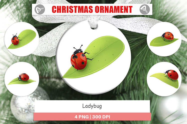 Ladybug Clipart Image 11