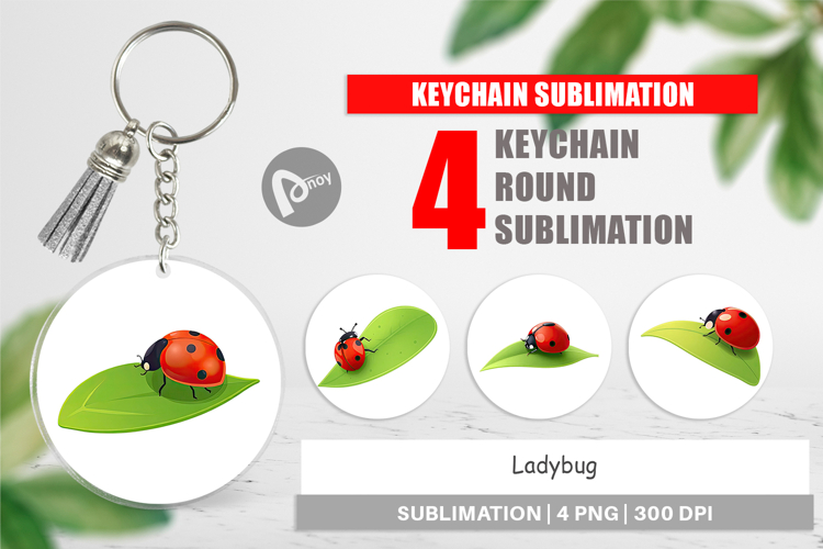 Ladybug Clipart Image 17