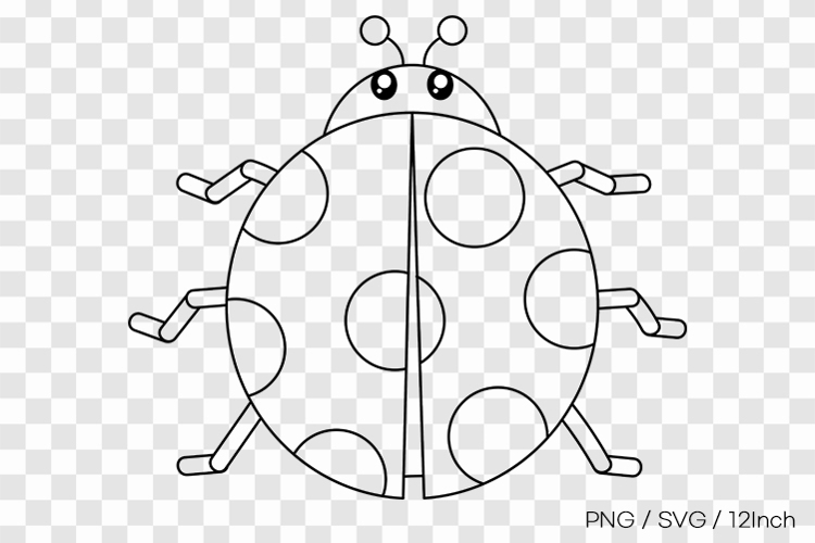 Cute spotted garden ladybug insect shell PNG animal clipart
