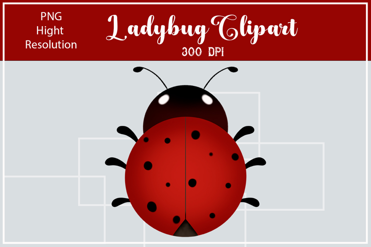 Ladybug Clipart Transparent Background PNG