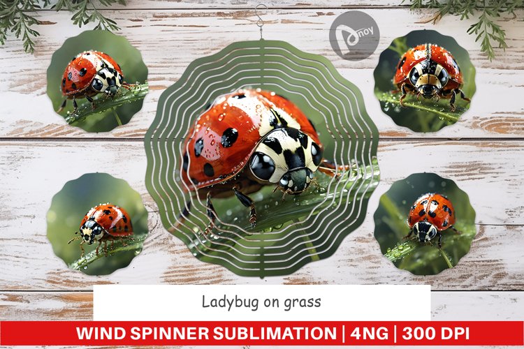 Wind Spinner Ladybug on grass example image 1