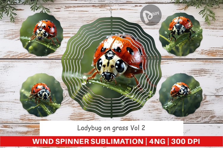 Wind Spinner Ladybug on grass example image 1