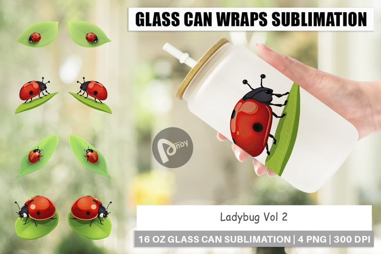 Ladybug Clipart Image 18