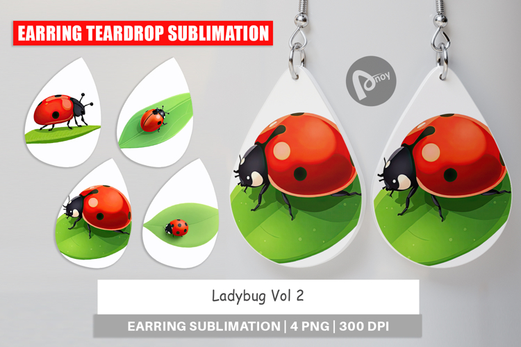 Ladybug Clipart Image 23