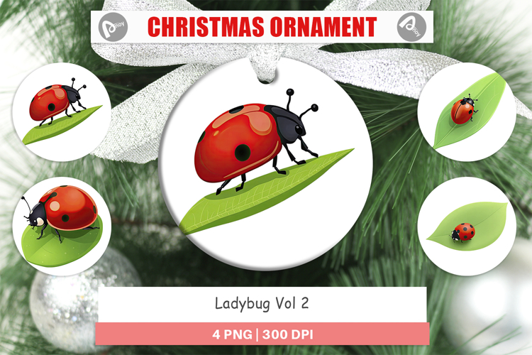 Ladybug Clipart Image 10