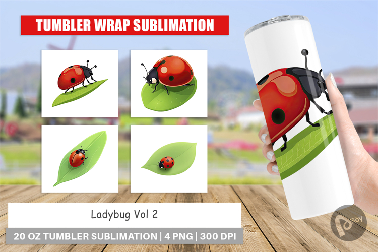 Ladybug Clipart Image 8