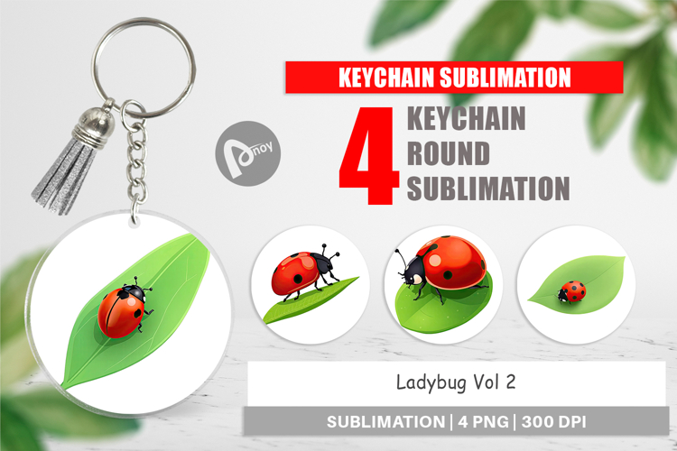 Ladybug Clipart Image 16