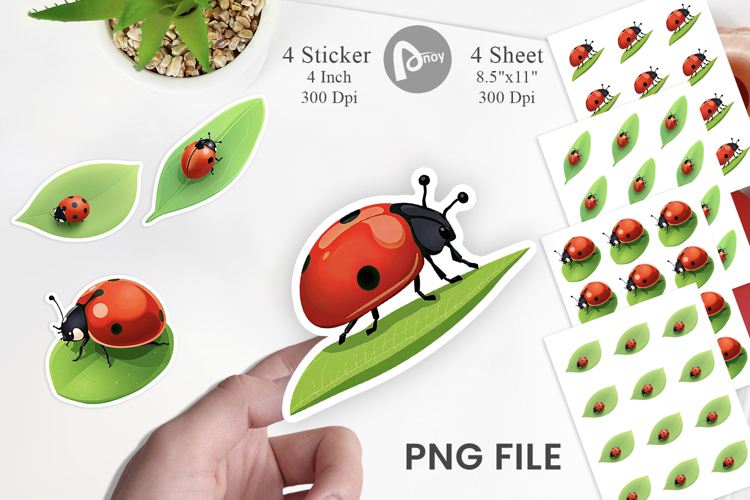 Ladybug Png Image 24