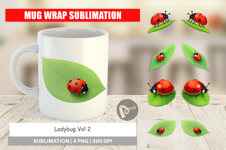 Ladybug Clipart Image 12