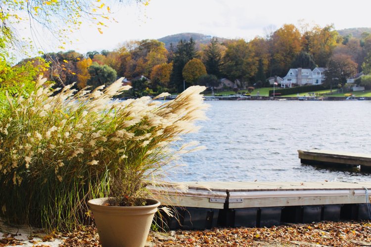 Scenic Autumn Lakeshore test product