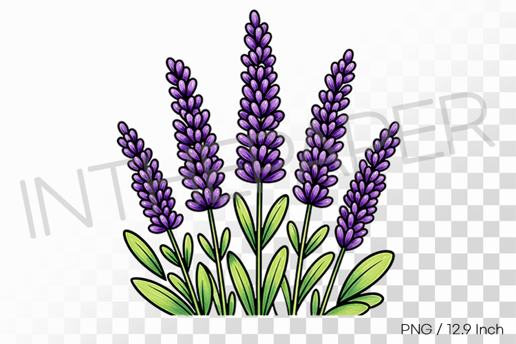 Pen Illustration Image 13