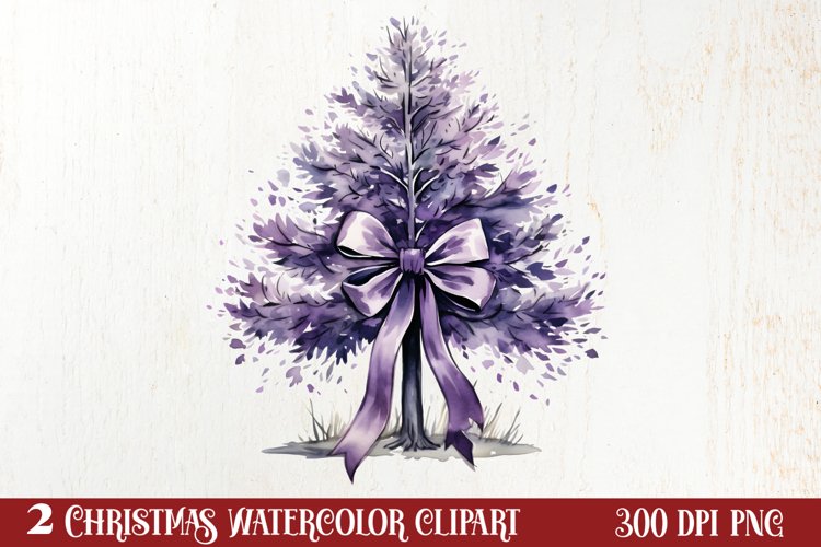 Lavender Png Image 12