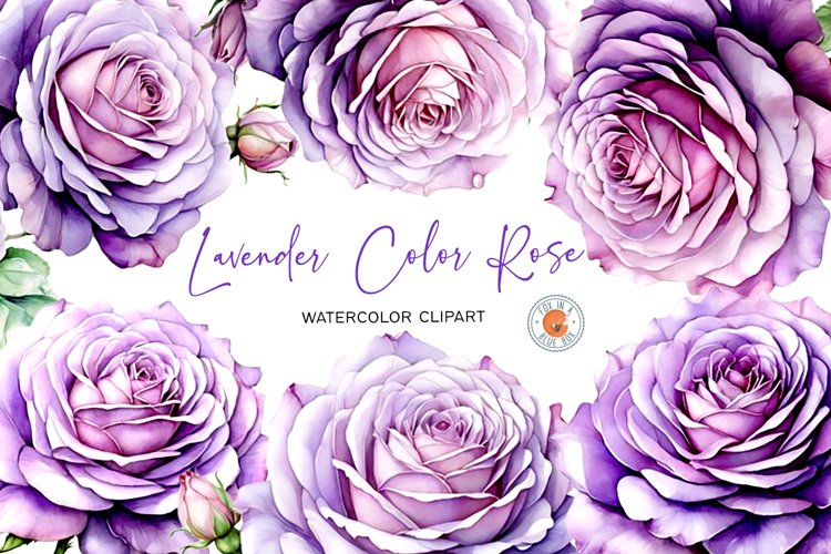 Lavender Color Rose CLIPART FILES