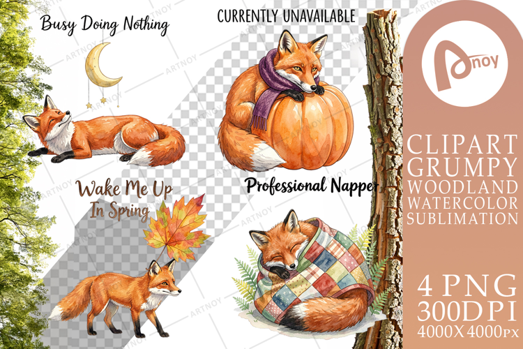 Lazy Fox Cozy Hygge Sublimation