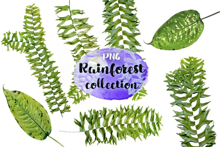 Media Clipart Image 14