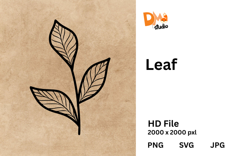 Leaf Clipart Image 18