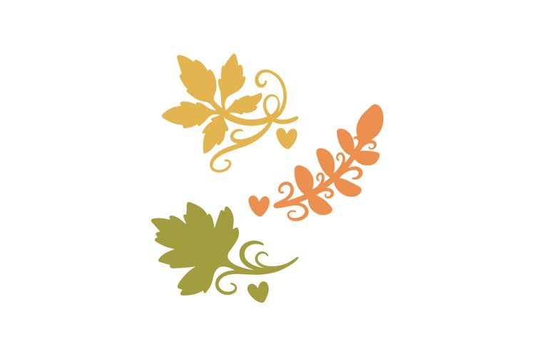 Leaves