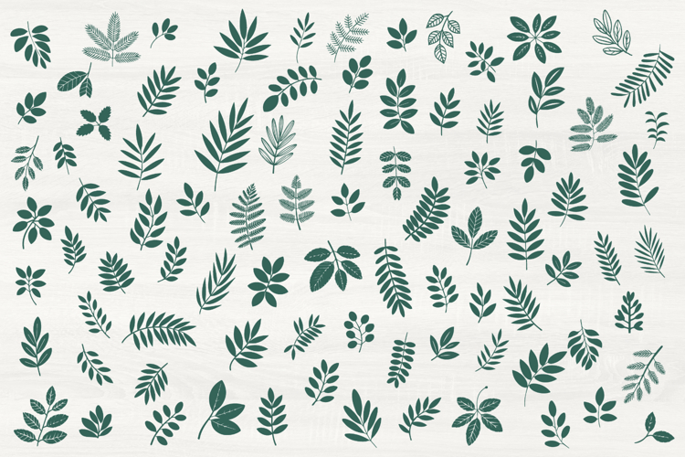 Leaves SVG Bundle example image 1