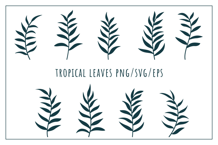 Tropical Leaves Png Image 4
