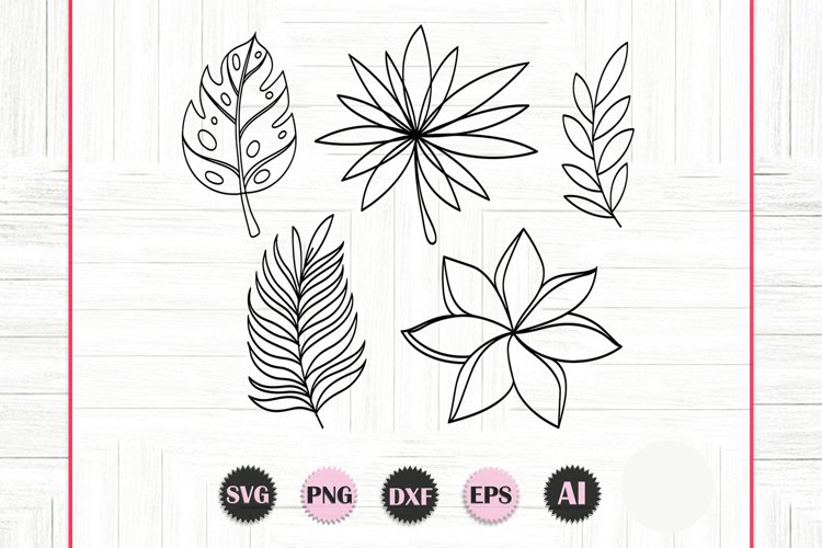 Leaves Vector Image 11