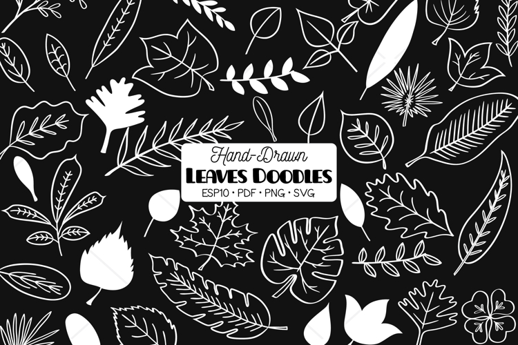 Tropical Leaf Silhouette Image 23