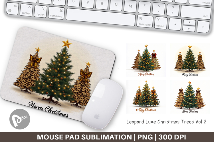 Baum Png Image 24