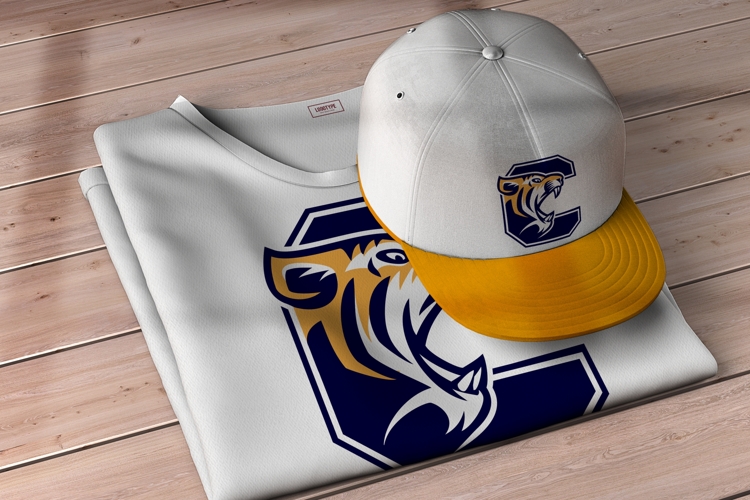 Letter C - Tiger Head