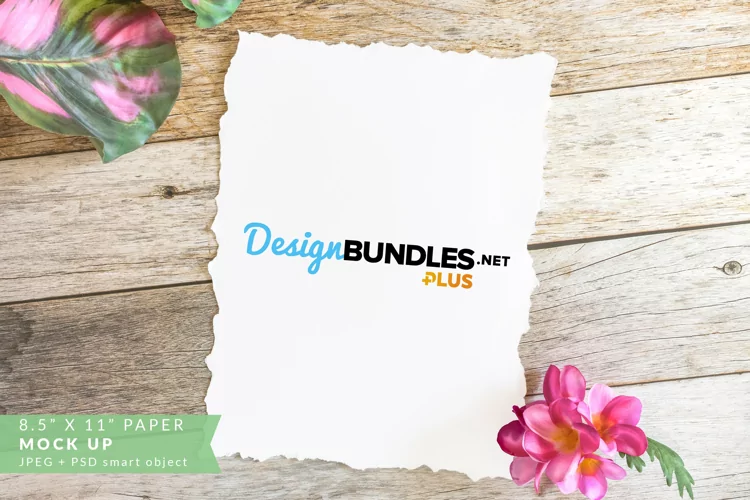 Stationery, Paper with torn edges| Summer Mock up