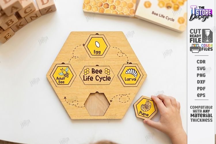 Life Cycle Puzzle Laser Cut | Montessori Toys | Kids Laser