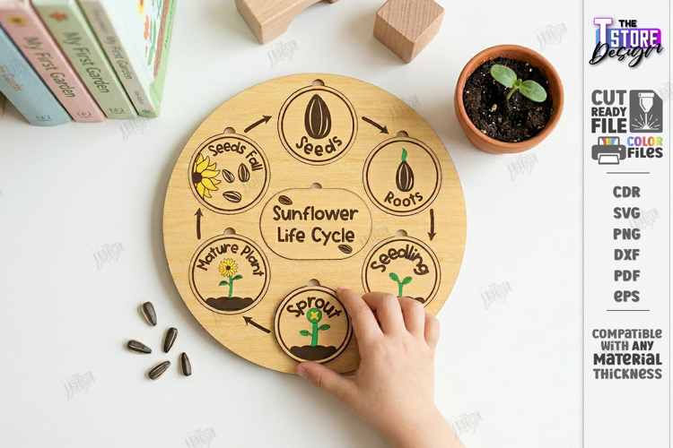 Life Cycle Puzzle Laser Cut | Montessori Toys | Kids Laser