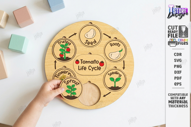 Life Cycle Puzzle Laser Cut | Montessori Toys | Kids Laser