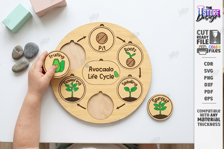 Life Cycle Puzzle Laser Cut | Montessori Toys | Kids Laser