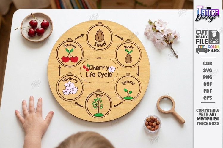 Life Cycle Puzzle Laser Cut | Montessori Toys | Kids Laser