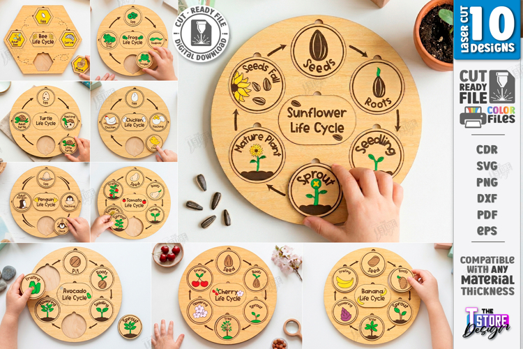 Life Cycle Puzzle Laser Cut Bundle | Montessori | Kids Laser