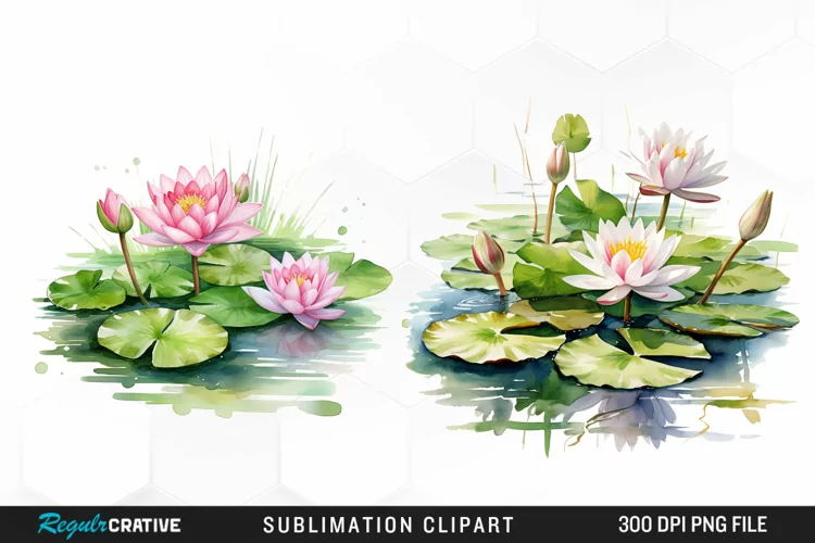 Watercolor Lily Ponds Illustration Clipart
