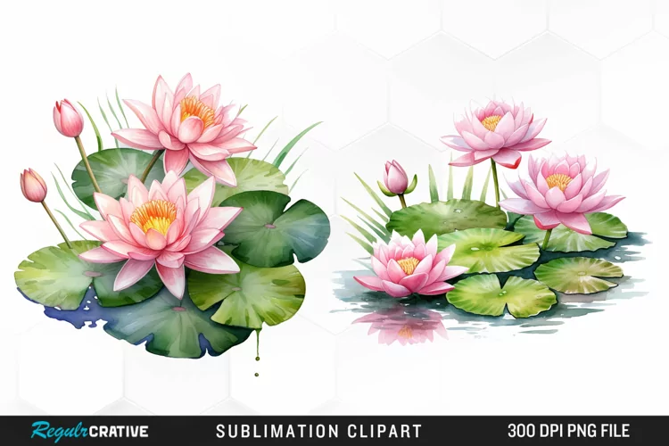 Watercolor Lily Ponds Illustration Clipart