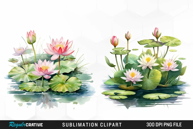 Watercolor Lily Ponds Illustration Clipart