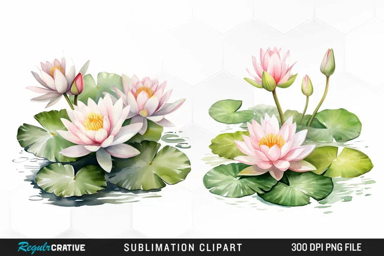 Watercolor Lily Ponds Illustration Clipart