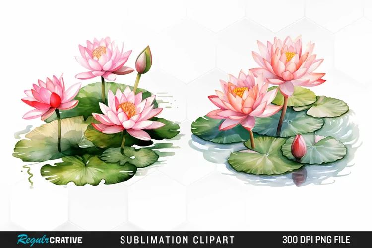 Watercolor Lily Ponds Illustration Clipart