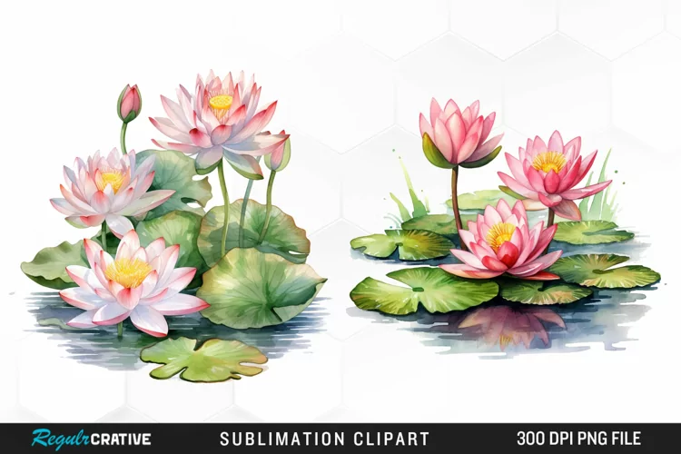 Watercolor Lily Ponds Illustration Clipart