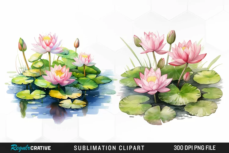 Watercolor Lily Ponds Illustration Clipart