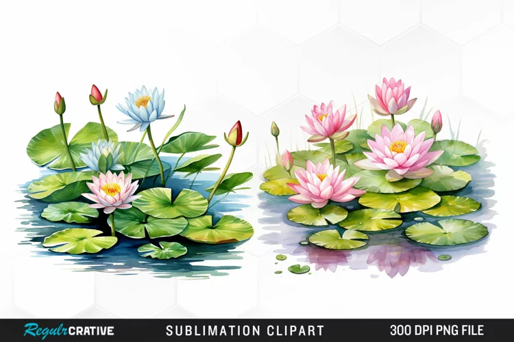 Watercolor Lily Ponds Illustration Clipart
