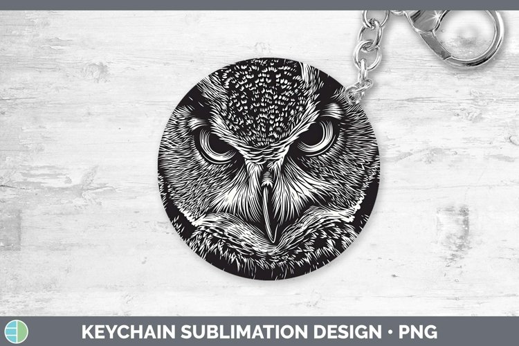 Owl Clipart Image 6