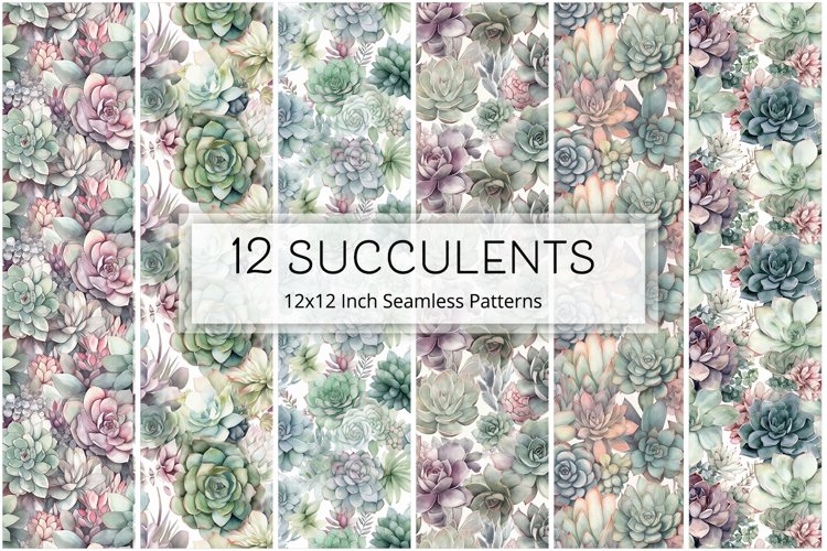 Succulent Clipart Image 13