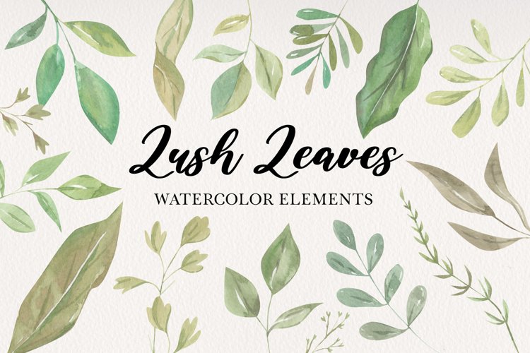 Watercolor Leaves Clipart