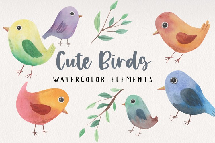 Pretty Cute Birds Watercolors Painted Spring Colourful Bird