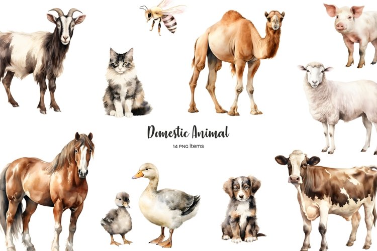 Watercolor domestic animal clipart. Livestock clipart